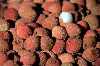 Lychees, close-up