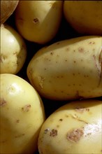 Pommes de terre, gros plan