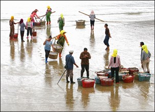 Pêcheurs du Fujian (Chine)