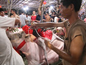 Chine: le Festival du Porc au Canton