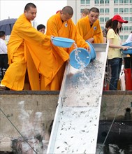 Chine: festival de relacher les alvins dans la mer