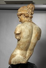 Roman Hermaphrodite bust (vue arrière)