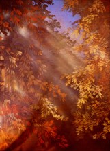 Painted canvas tarp. Autumn trees