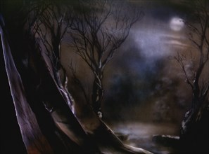 Painted canvas tarp. Night landscape