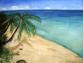 Painted canvas tarp. Beach with palm tree