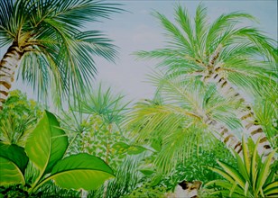 Painted canvas tarp. Tropical landscape
