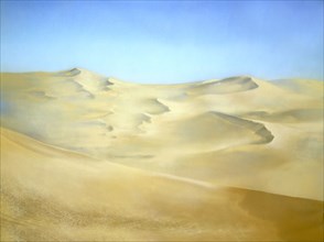 Bâche peinte. Paysage désertique