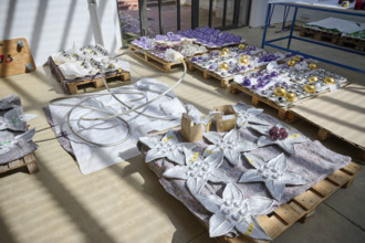 Jean-Michel Othoniel, 2025