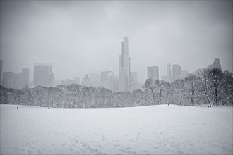 Central Park en hiver, New York
