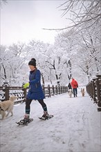 Central Park en hiver, New York