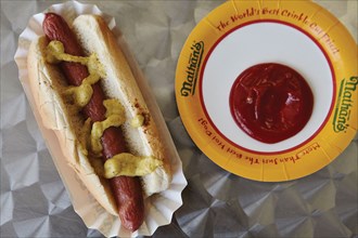 Coney Island hot dog contest