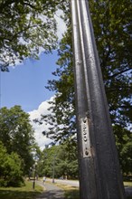 Feature: the mysterious numbers on Central Park street lamps