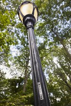 Feature: the mysterious numbers on Central Park street lamps