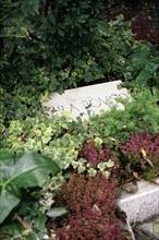 Ezra Pound's grave at San Michele's cemetery in Venice