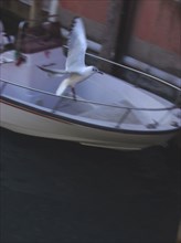 Seagull flying above a boat in a canal