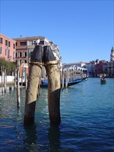 Venise, pieux, gondoles vers le Pont du Rialto