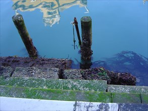 Venise Reflets canal, pieux, algues, marches d'escalier et reflets dans le canal