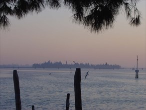 Venise, Ile de San Francesco del Deserto, vue depuis Burano, le soir, soleil couchant