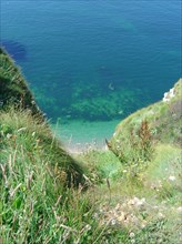 Falaises d'Etretat