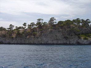 Cassis