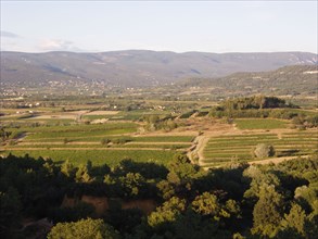 Provence268 Collines du Luberon le soir