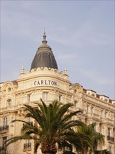CoteAzur003 Cannes, La Croisette, Hôtel Carlton, façade, palmier