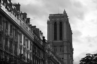 Paris 101 Cathédrale Notre Dame de Paris le soir, vue latérale