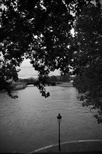 Paris 107 Bords de Seine, pointe de l'île Saint-Louis