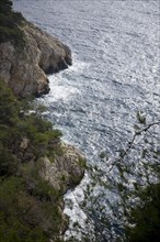 Provence359 Provence, côte méditerranéenne, calanque, crique, pin maritime, pinède, mer