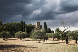 Provence378 Provence, Luberon, Lourmarin, château, oliviers, oliveraie, été ciel d'orage
