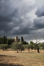 Provence379 Provence, Luberon, Lourmarin, château, oliviers, oliveraie, été ciel d'orage