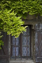 Provence460 Provence, village de Brantes, fenêtre ancienne, volets, été
