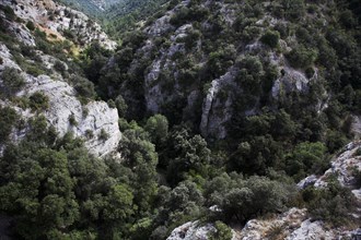 Provence470 Provence, Luberon, gorges