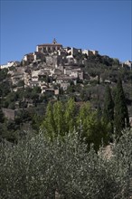 Provence473 Provence, Luberon, village de Gordes, oliviers, été