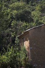 Provence474 Provence, Luberon, vieux mas