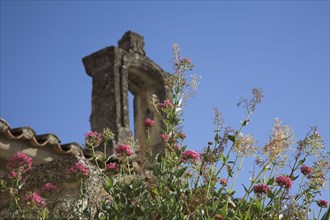 Provence486 Provence, Luberon, village de Gordes, ancien clocher, fleurs des champs, ciel, été