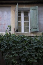 Provence544 Provence, Luberon, village, mur, fenêtre, volets verts, vigne vierge, été