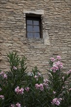 Provence567 Provence, Luberon, village, mur, fenêtre, lauriers roses, été