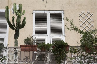 CoteAzur013 Fenêtres provencales, façade méditerranéenne, volets, cactus (Vallauris)