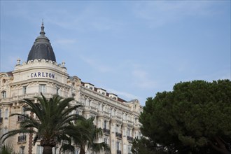 CoteAzur014 Cannes, la Croisette, les palmiers et l'hôtel Carlton