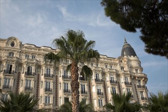 CoteAzur018 Cannes, la Croisette, les palmiers et l'hôtel Carlton (façade)