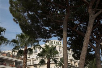 CoteAzur047 Cannes, la Croisette, palmier et façades, Hôtel Martinez