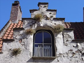 Bruges. Façade fleurie au Printemps, fenêtre, ruelles de la ville médiévale