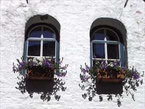 Bruges. Façade fleurie au Printemps, fenêtres, ruelles de la ville médiévale