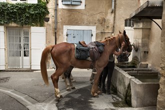 Provence705 Lubéron, randonnée équestre, halte à la fontaine