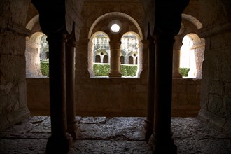 Provence808 Abbaye du Thoronet, le cloître vu depuis la salle capitulaire : arcades géminées,