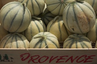 Provence740 Marché de Provence, melons