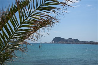 Provence759 La Ciotat, la baie et le rocher (Ile verte et Cap de l'Aigle), planche à voile