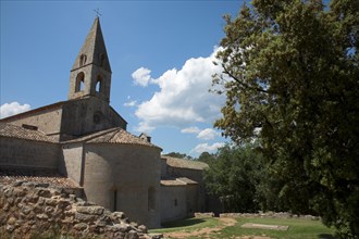 Provence787 Abbaye du Thoronet, vue principale de l'église, chevet et cimetière des moines