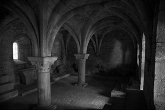 Provence845 Abbaye du Thoronet : la salle capitulaire (architecture gothique, voûte sur croisée